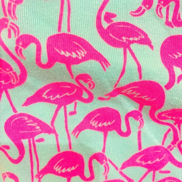 Nwot Crewcuts 2 piece 100% cotton pajama set pink flamingo print blue size 14 - Picture 4 of 5